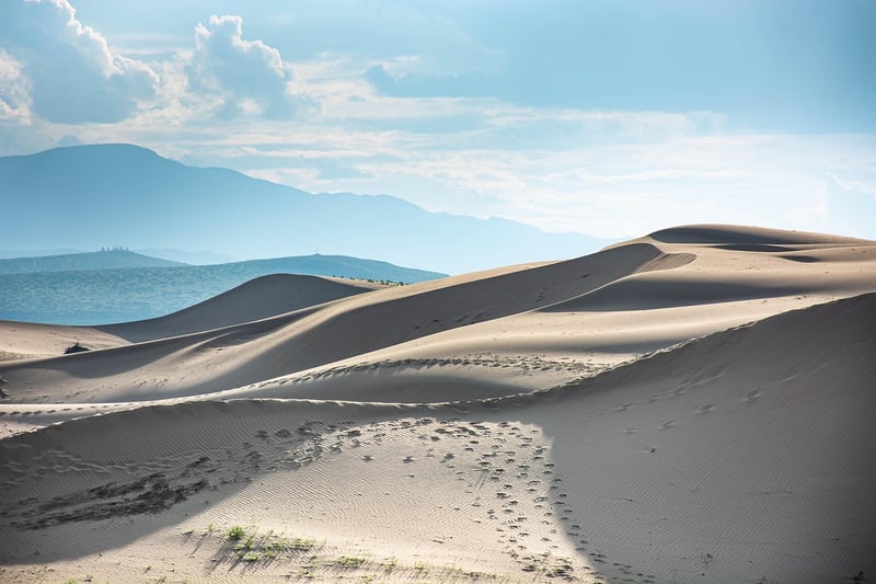 Gobi Exploration
